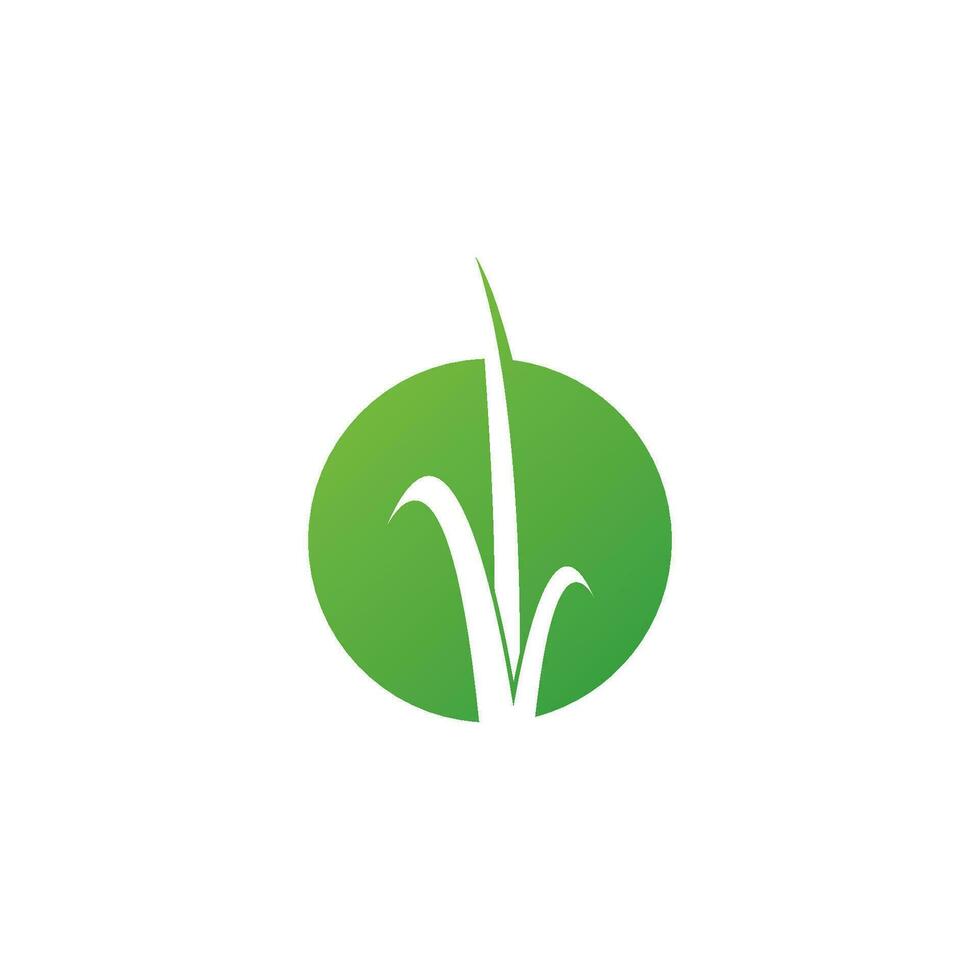 Grass logo vector
