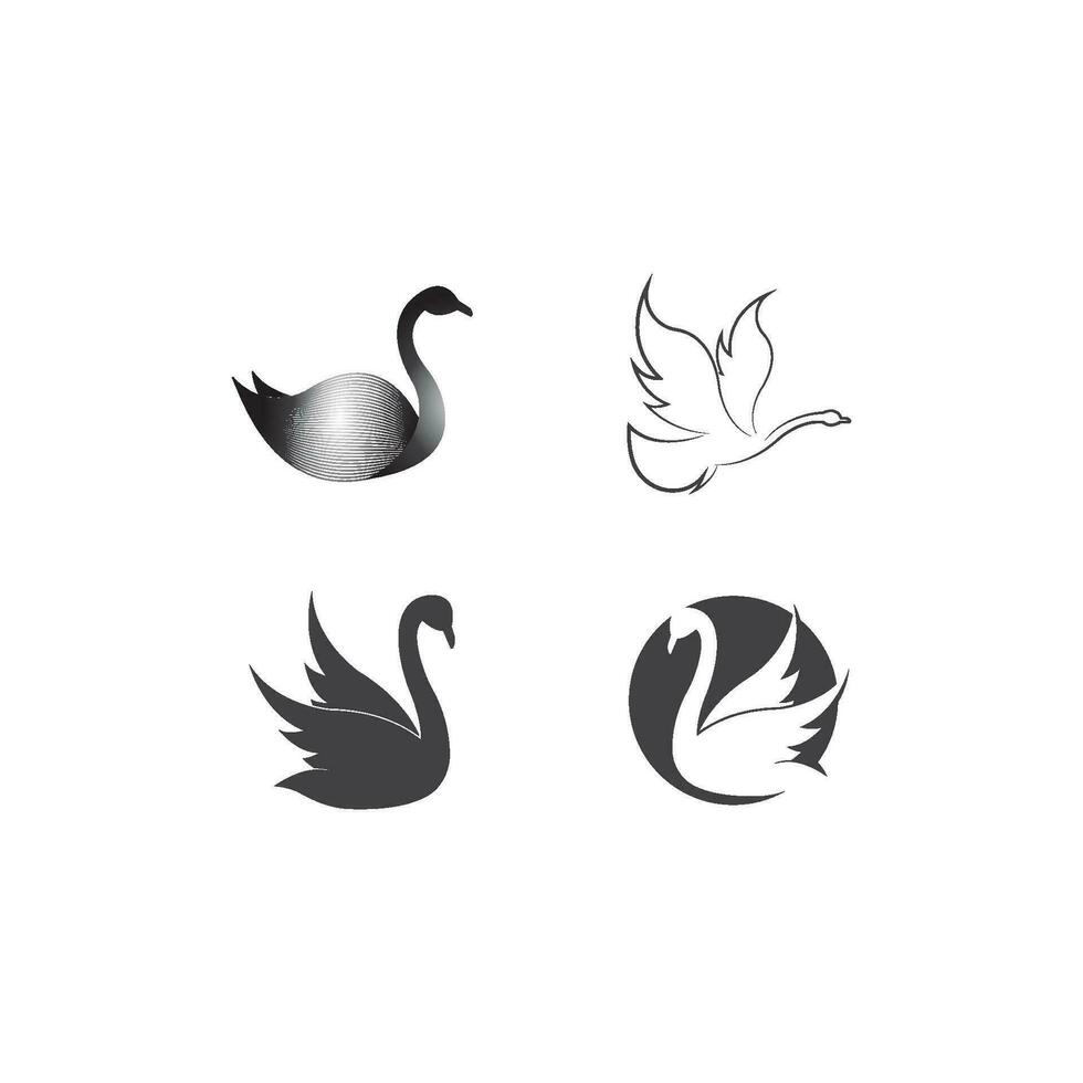 Swan logo Template vector