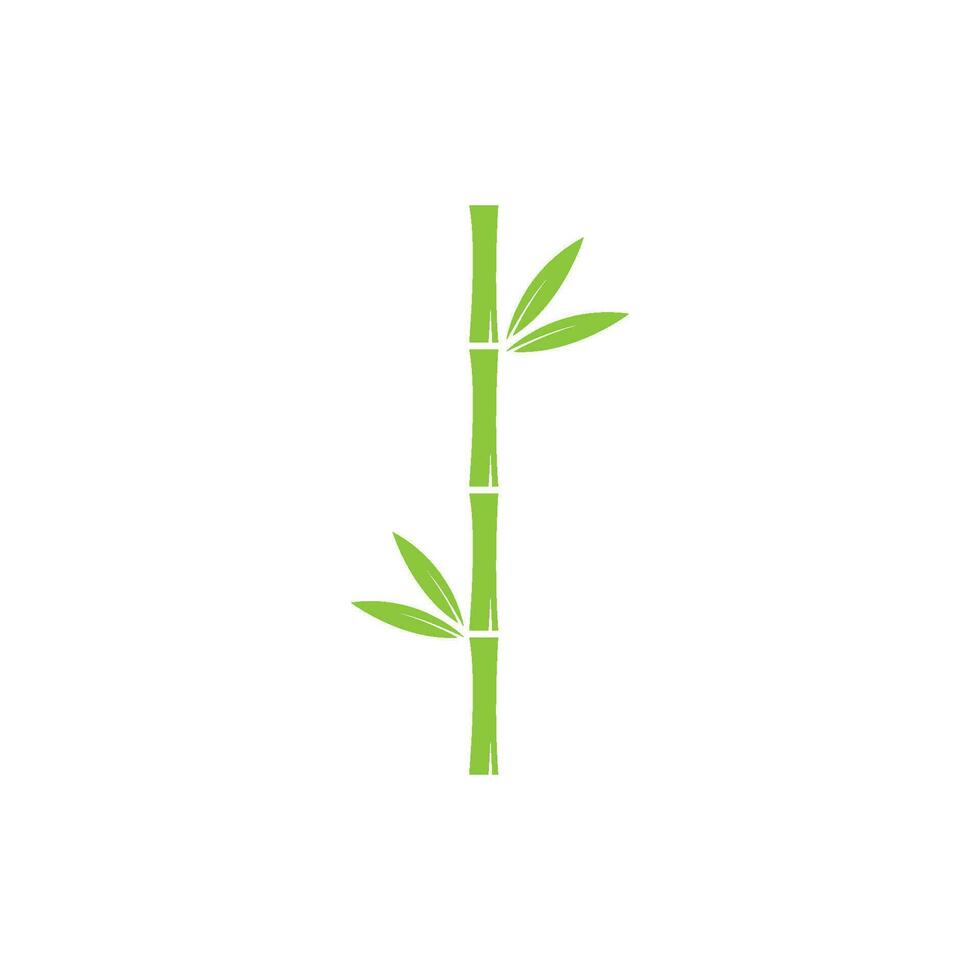 Bamboo with green leaf vector icon