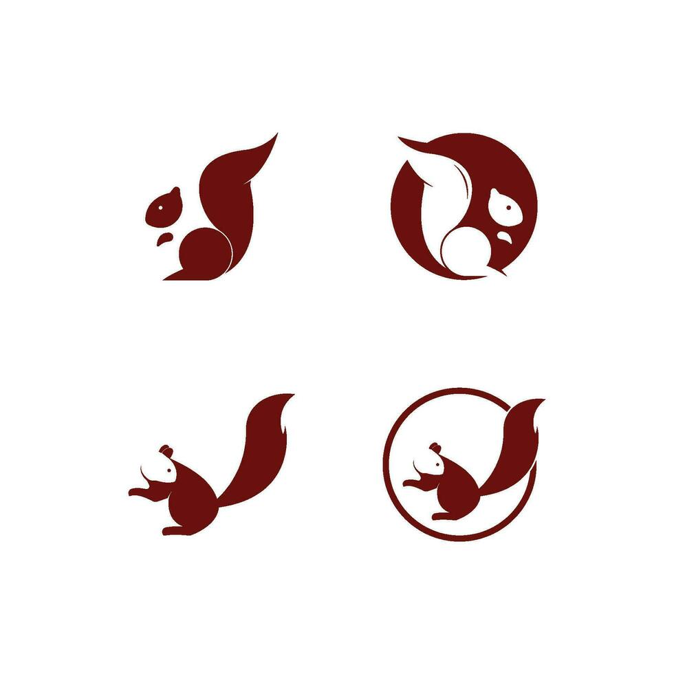 squirrel logo vector