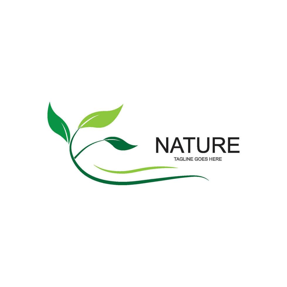 leaf ecology nature element vector