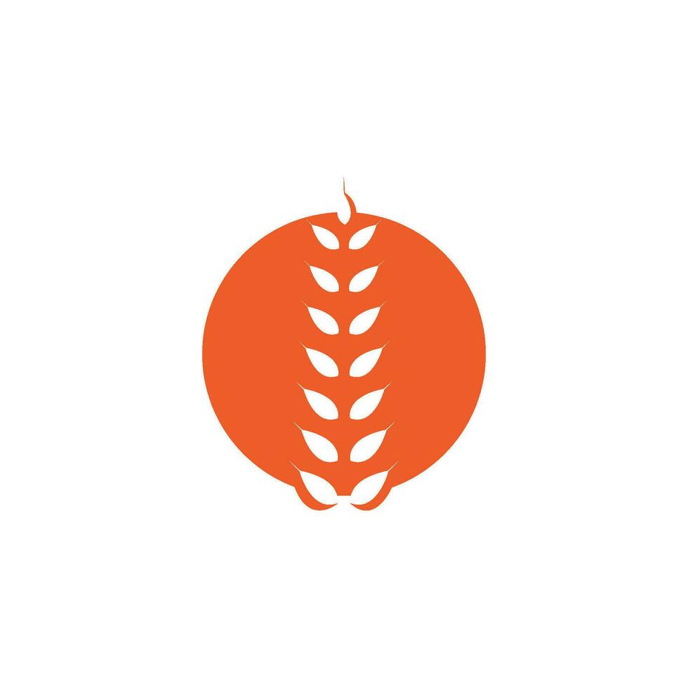 wheat Logo Template vector