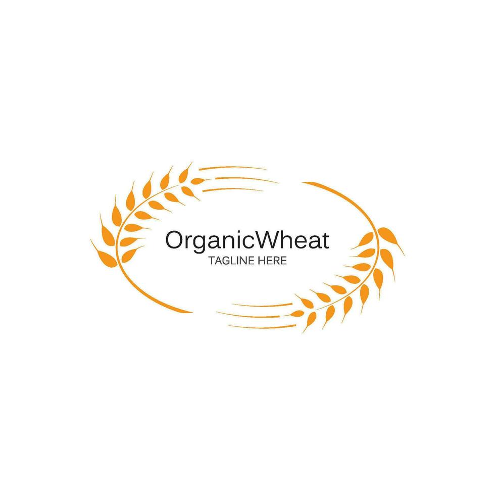 wheat Logo Template vector