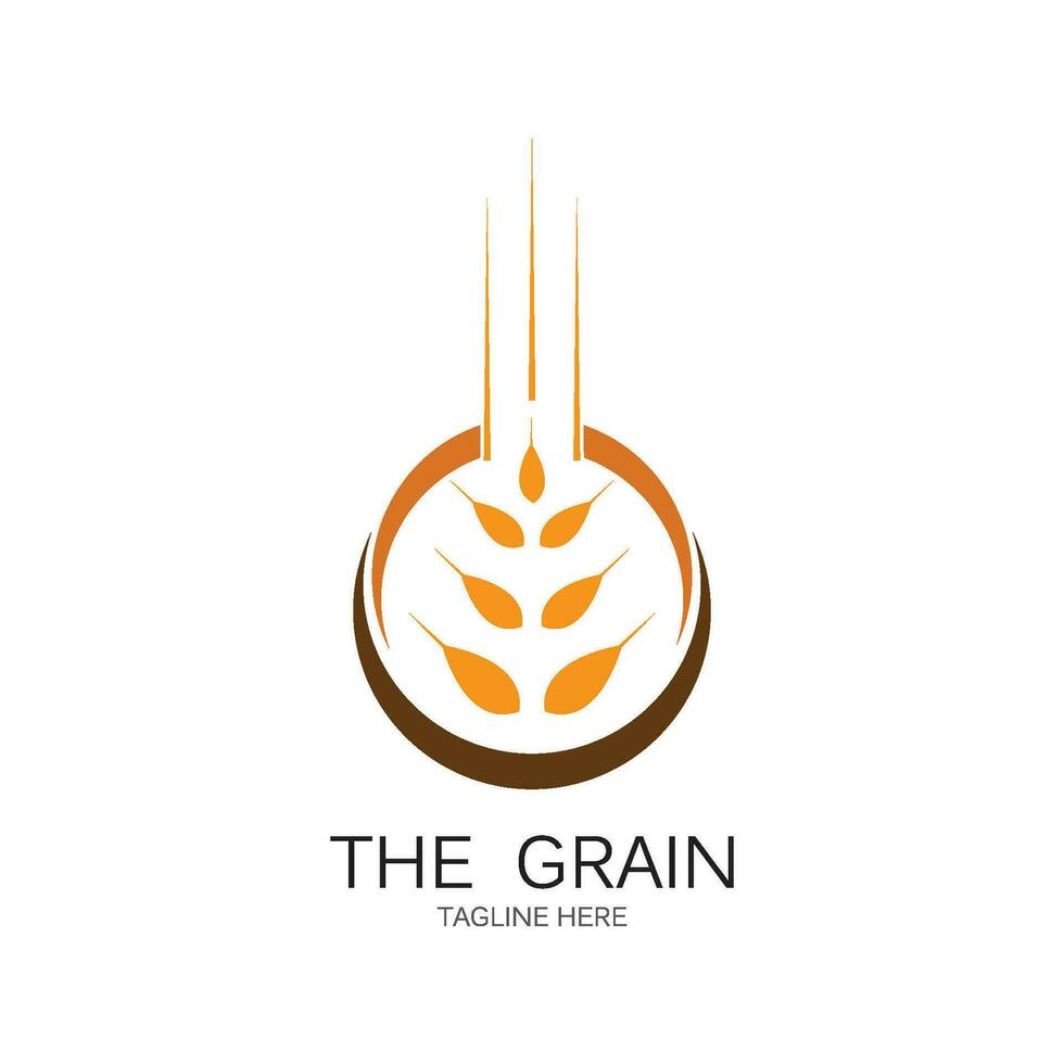 wheat Logo Template vector