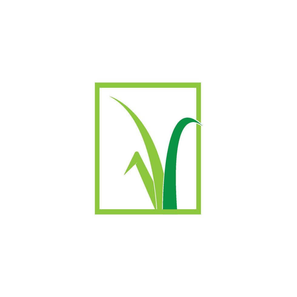 Grass logo vector