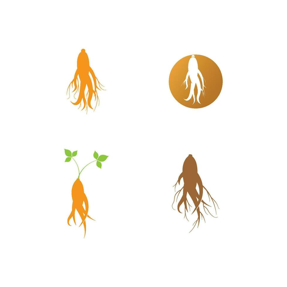 ginseng vector icono