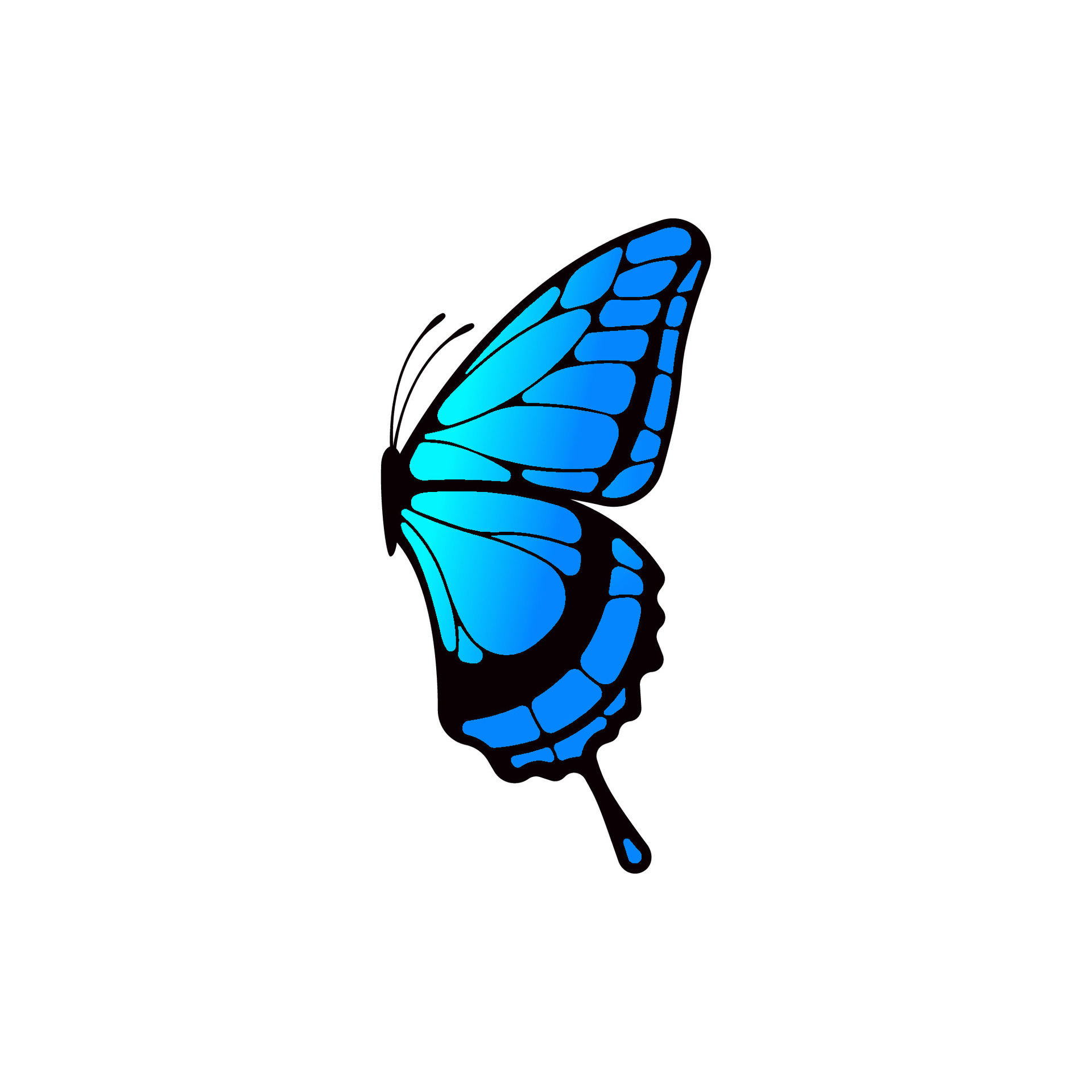 Blue butterfly vector isolated on white baackground. 25560761 Vector