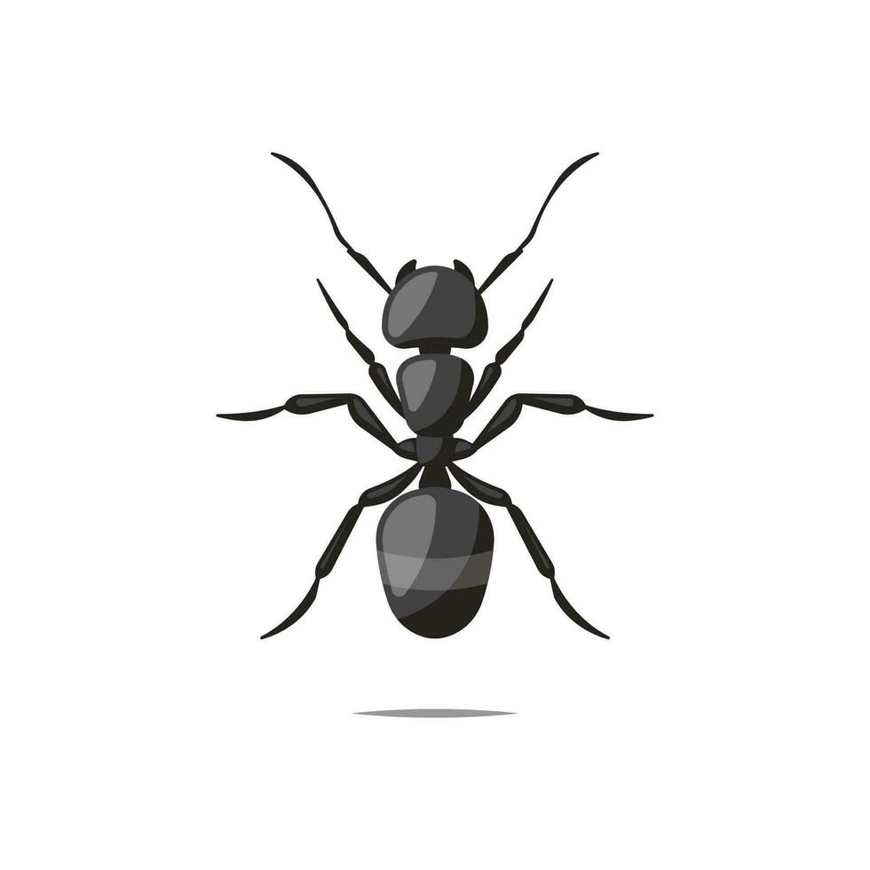 Ant vector isolated on white background.