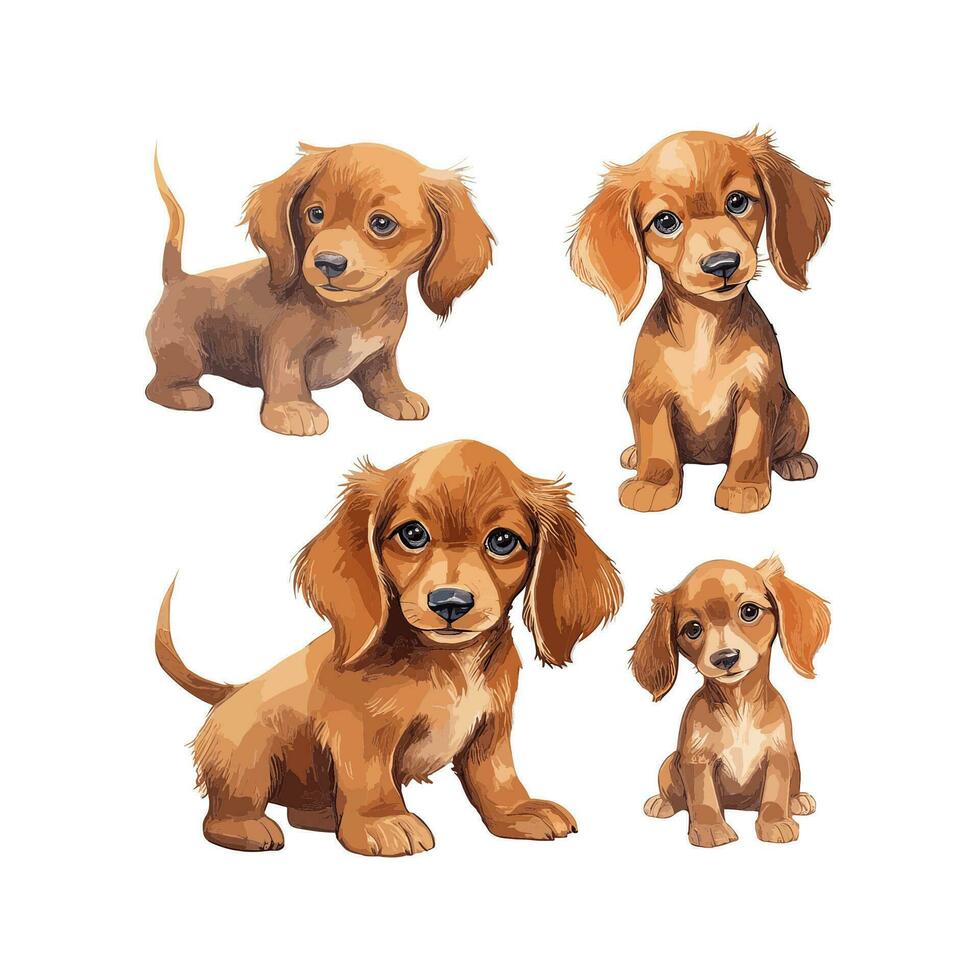 Watercolor Dachshund Dog Set in Various Pose vector