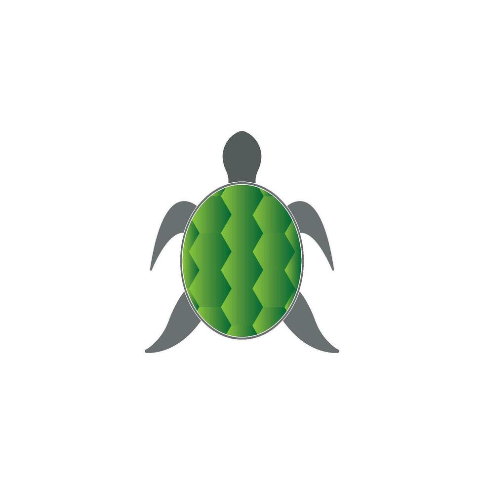turtle animal cartoon icon image vector