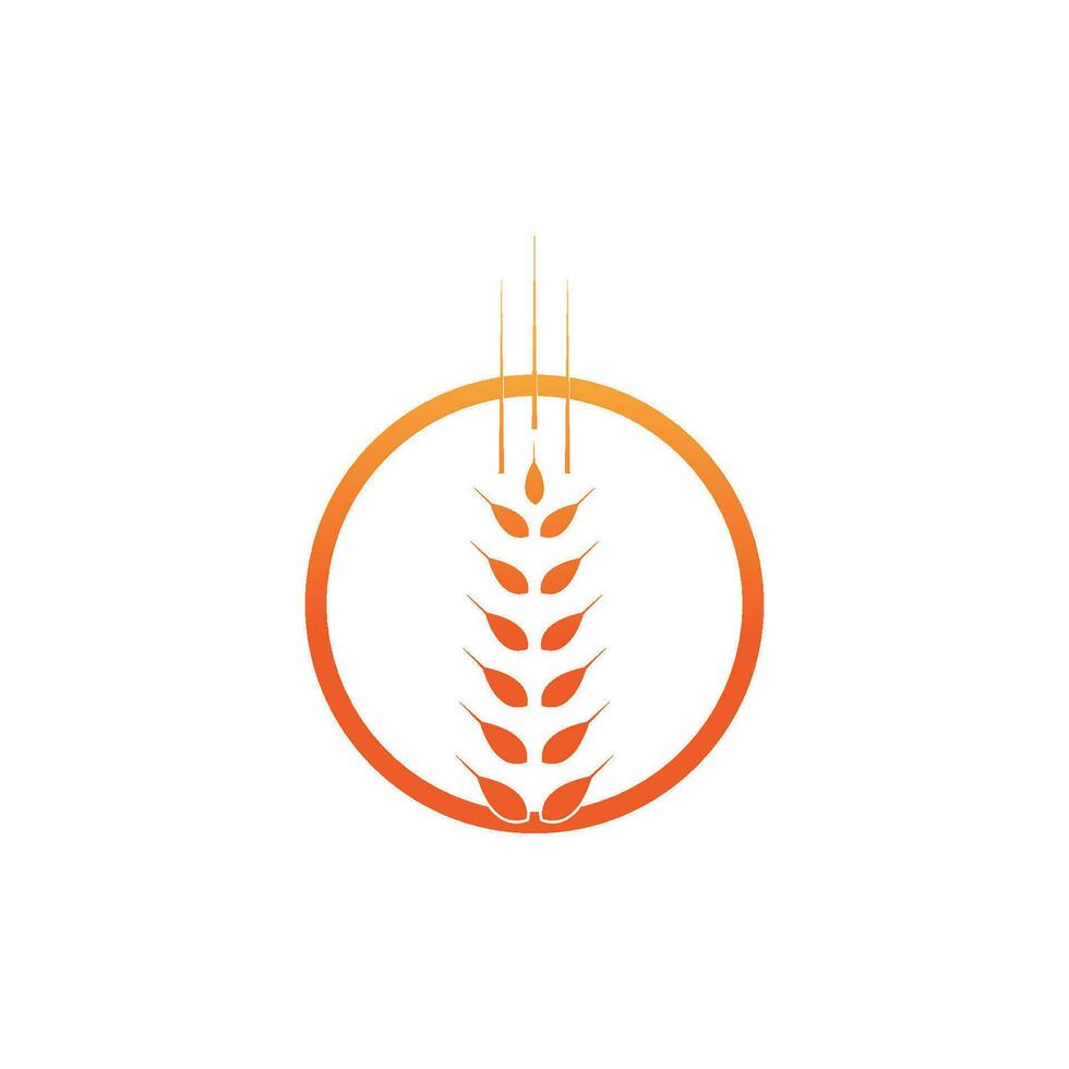 wheat Logo Template vector