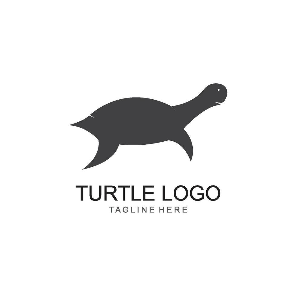 turtle animal cartoon icon image vector