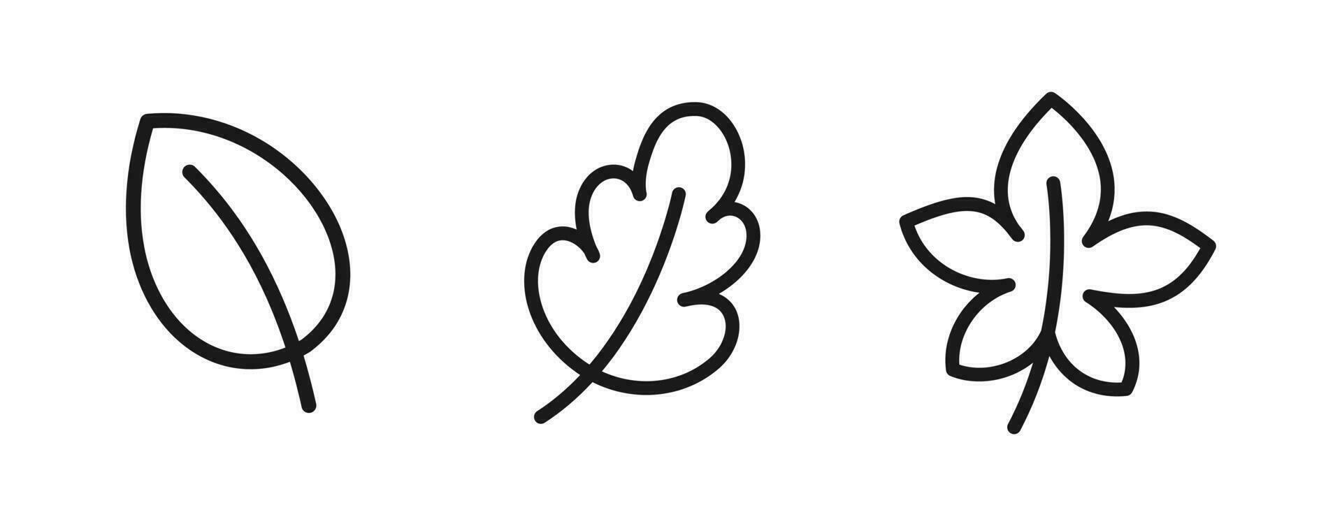 Cute doodle autumn leaves maple leaf vector illustration, icon logo set. Hand drawn vector illustration for coloring page and art books for adults and kids.