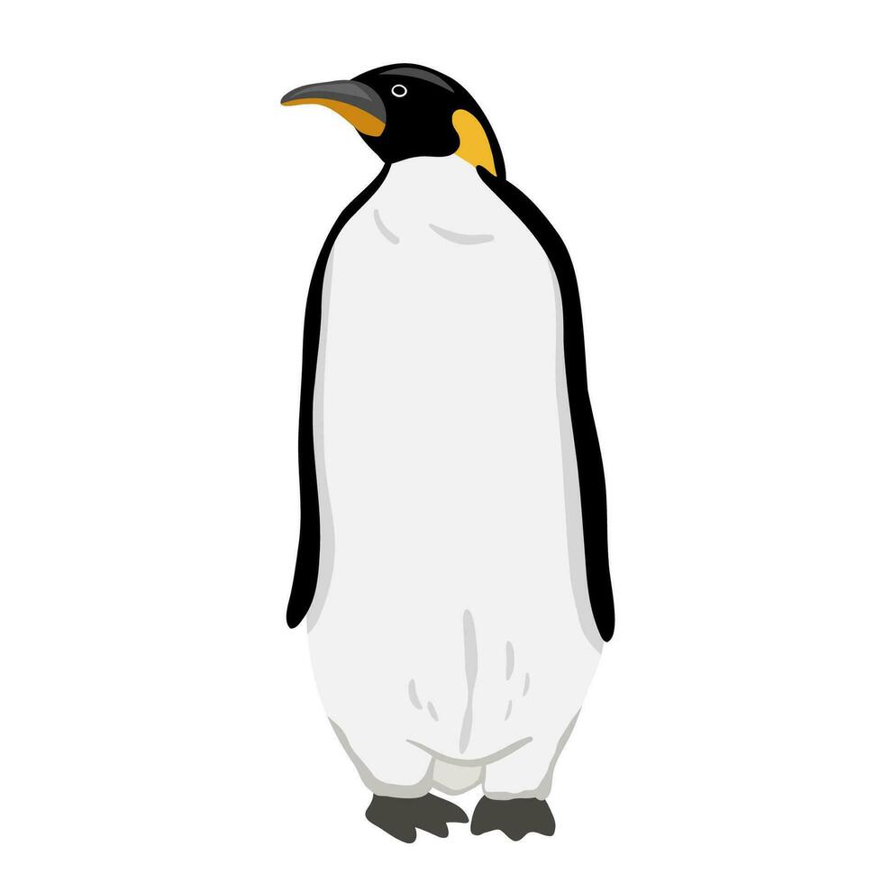 King Penguin. Flat vector illustration isolated on white. Polar animal