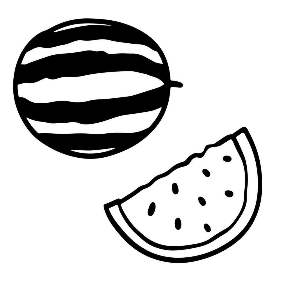 Watermelon black and white doodle sketch, vector illustration isolated on white
