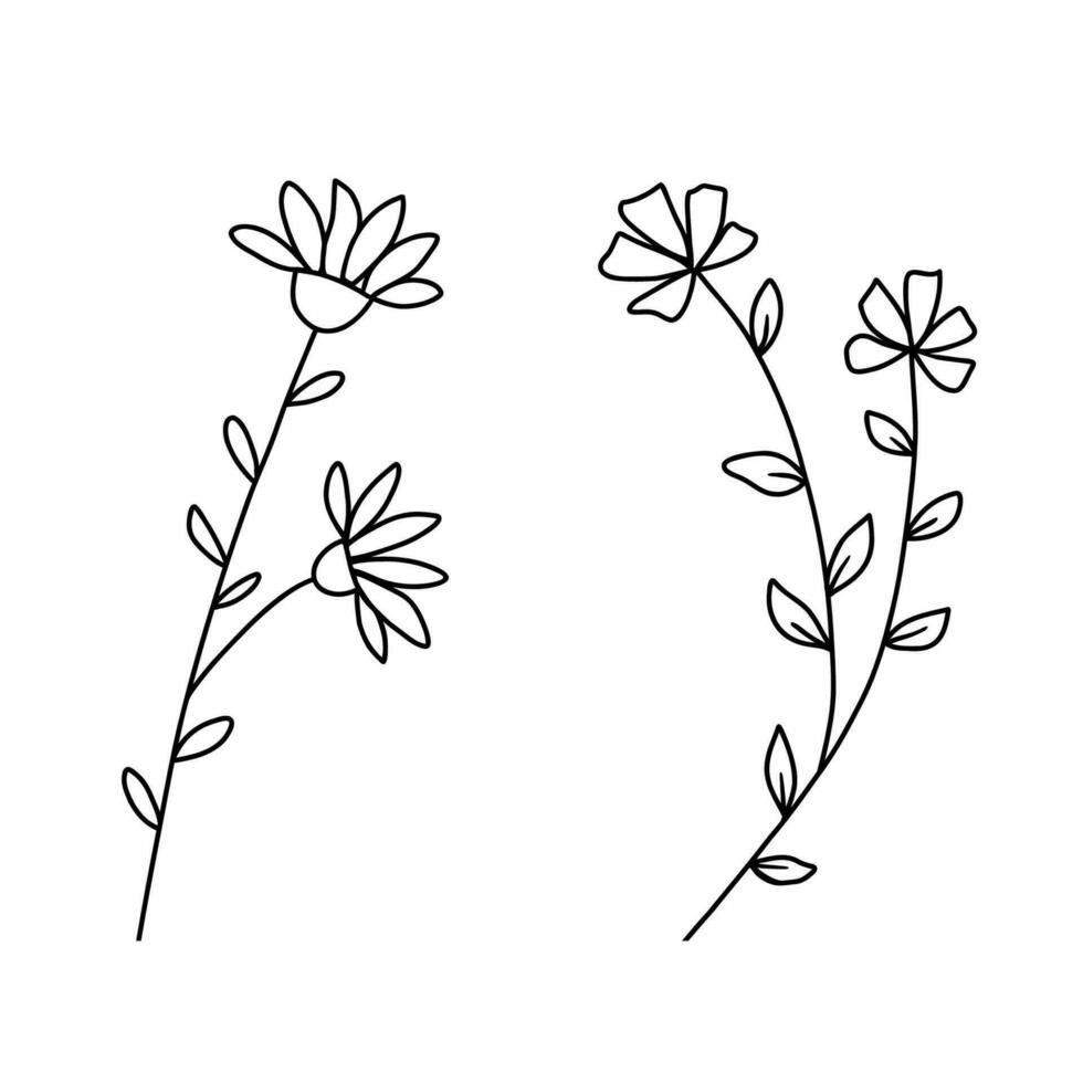 Hand drawn wildflowers set. Vector outline flower sketch. Line art doodle isolated on white background