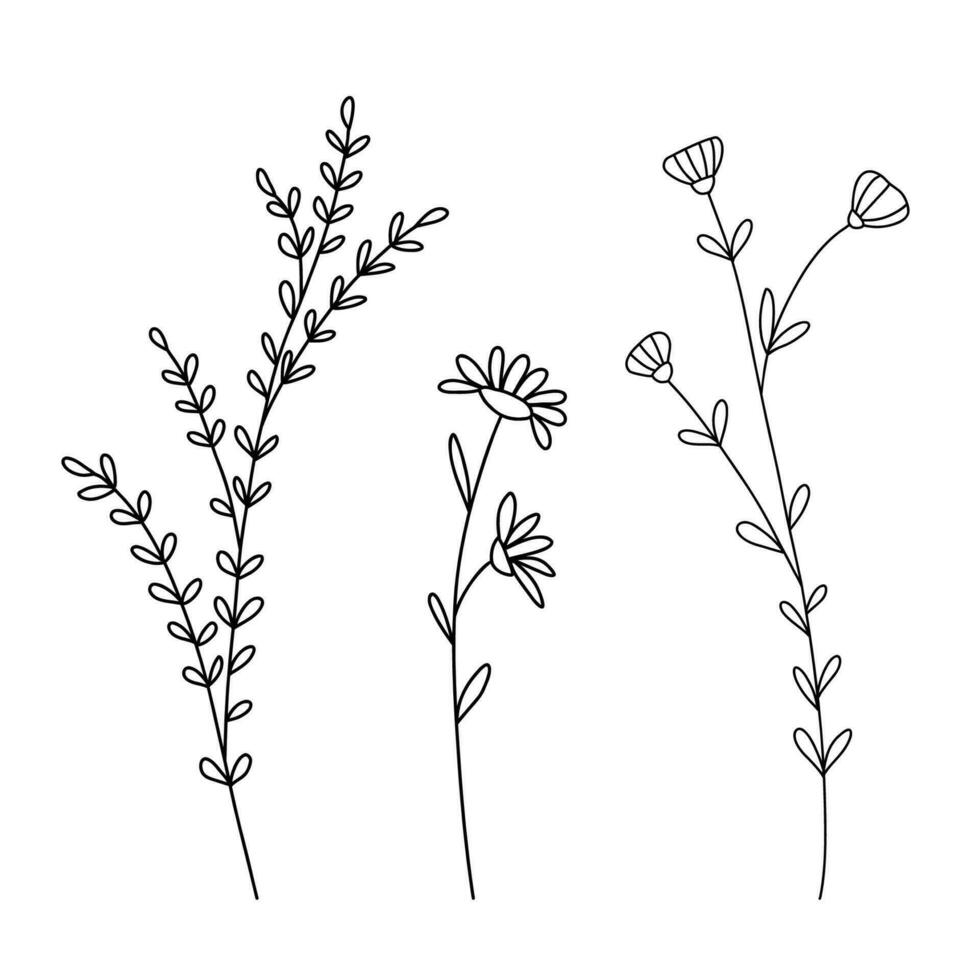 Hand drawn wildflowers set. Vector outline flower sketch. Line art doodle isolated on white background
