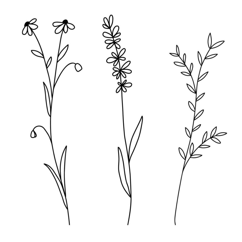 Hand drawn wildflowers set. Vector outline flower sketch. Line art doodle isolated on white background