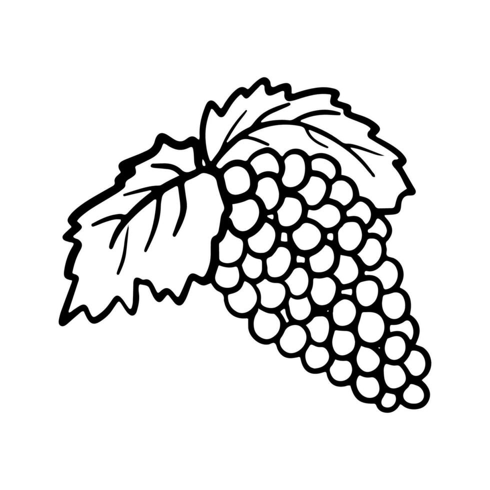 uvas manojo con hojas y baya. mano dibujado vector ilustración. bosquejo aislado en blanco antecedentes