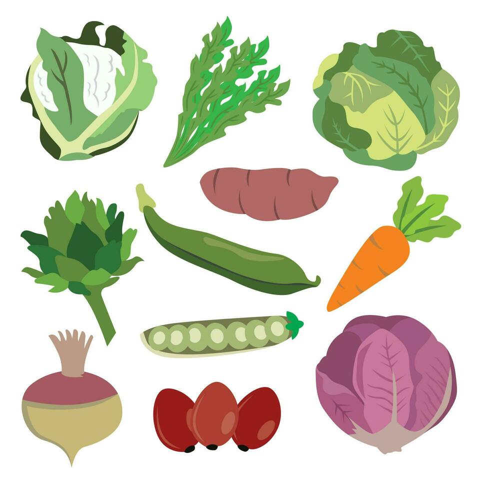 Vegetables set, vector illustration, isolated on white background.