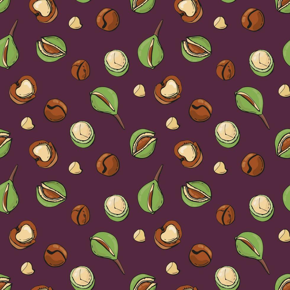 Seamless pattern with macadamia nuts. Design for fabric, textile, wallpaper, packaging. vector