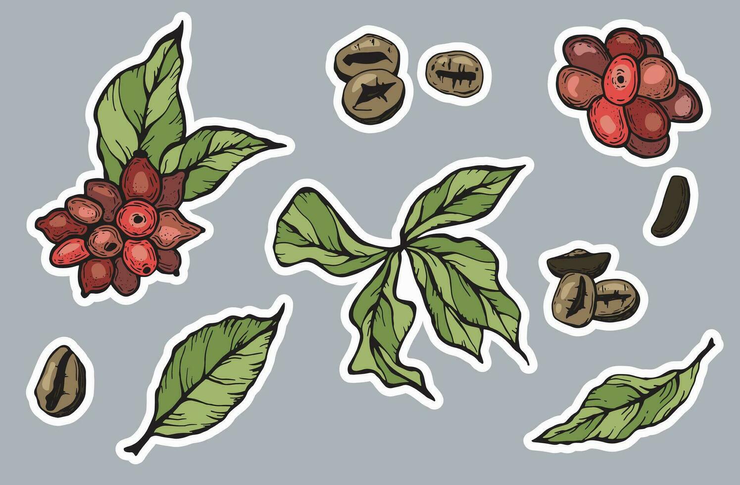 Set of coffee stickers. Coffee beans, flowers, leaves. vector