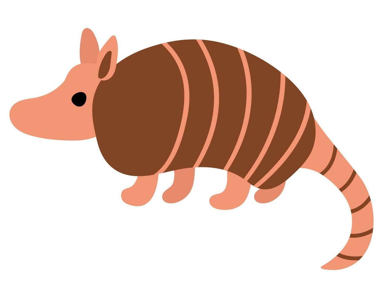 Cute hand drawn armadillo. Animal safari. White background, isolate. vector