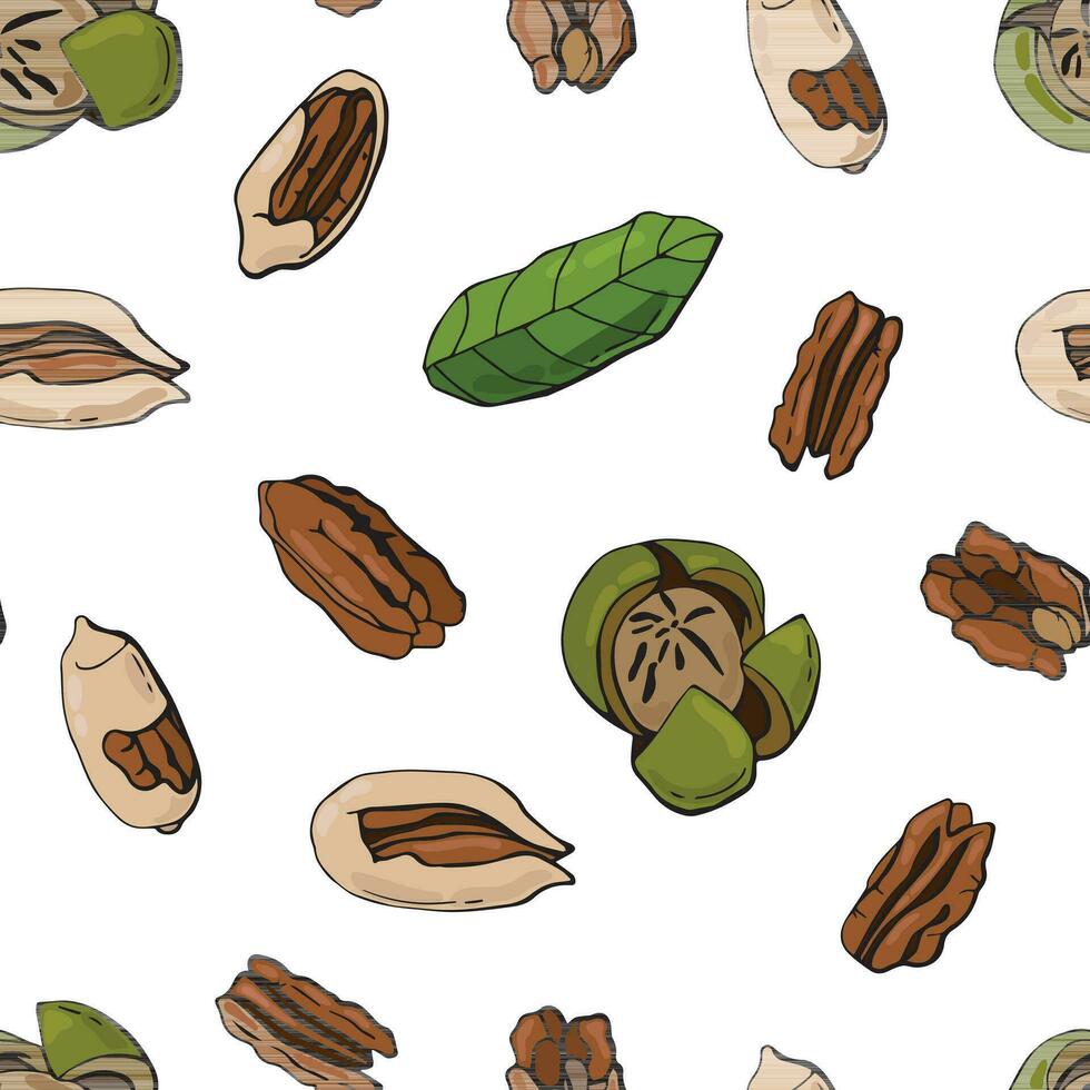 sin costura modelo con pacana nueces. diseño para tela, textil, fondo de pantalla, embalaje. vector