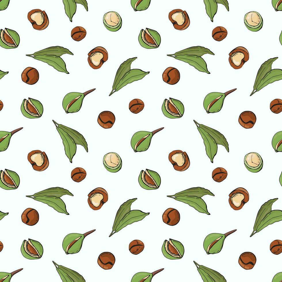 Seamless pattern with macadamia nuts. Design for fabric, textile, wallpaper, packaging. vector