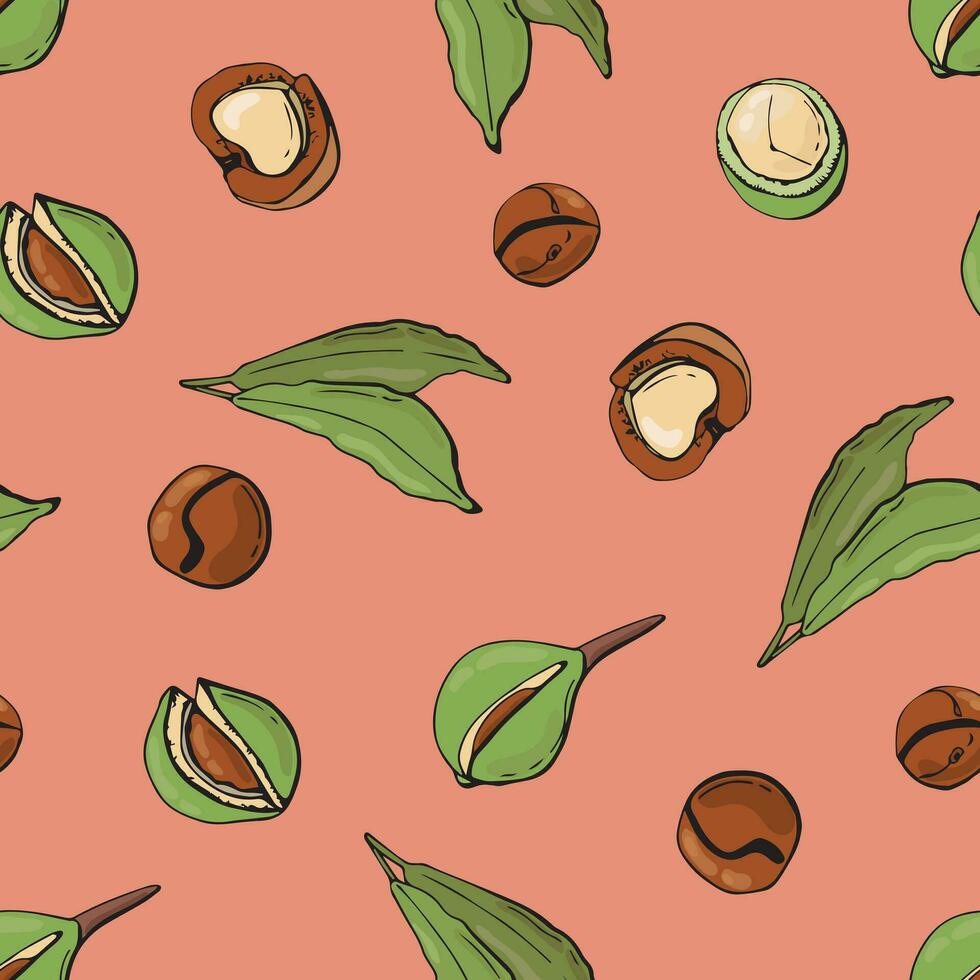 Seamless pattern with macadamia nuts. Design for fabric, textile, wallpaper, packaging. vector