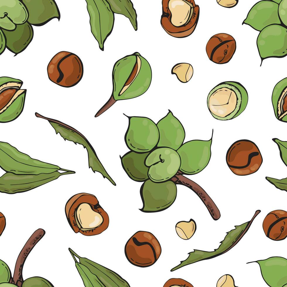 Seamless pattern with macadamia nuts. Design for fabric, textile, wallpaper, packaging. vector