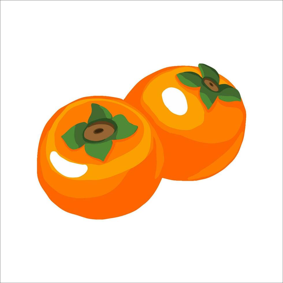 Persimmon icon. Flat persimmon vector icon for web design