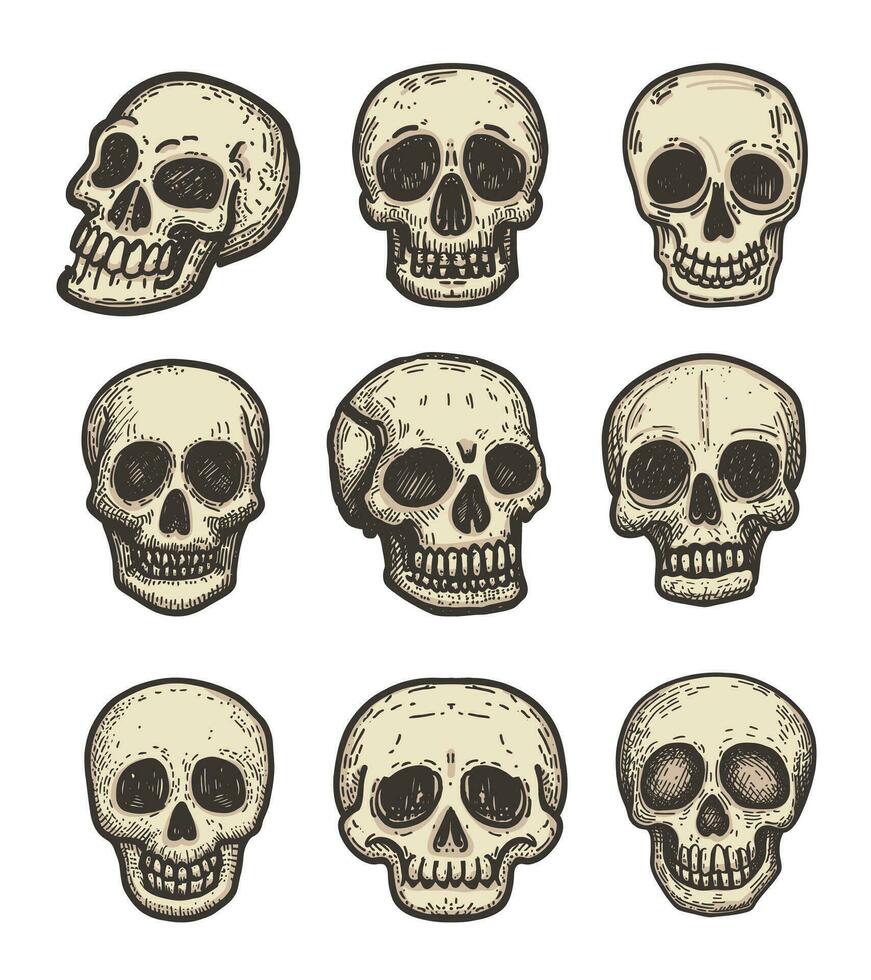 Skull Bone Doodle Style Vector Illustration