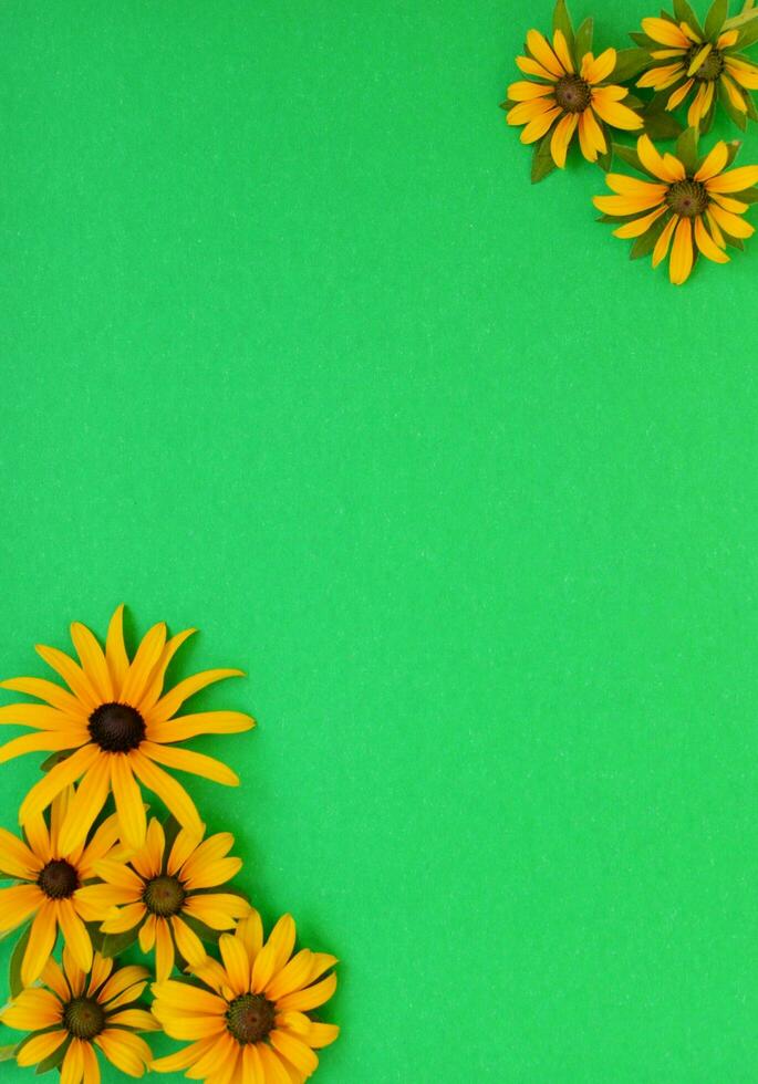 Green grass and yellow flowers on the colorful backgrounds and backdrop photo