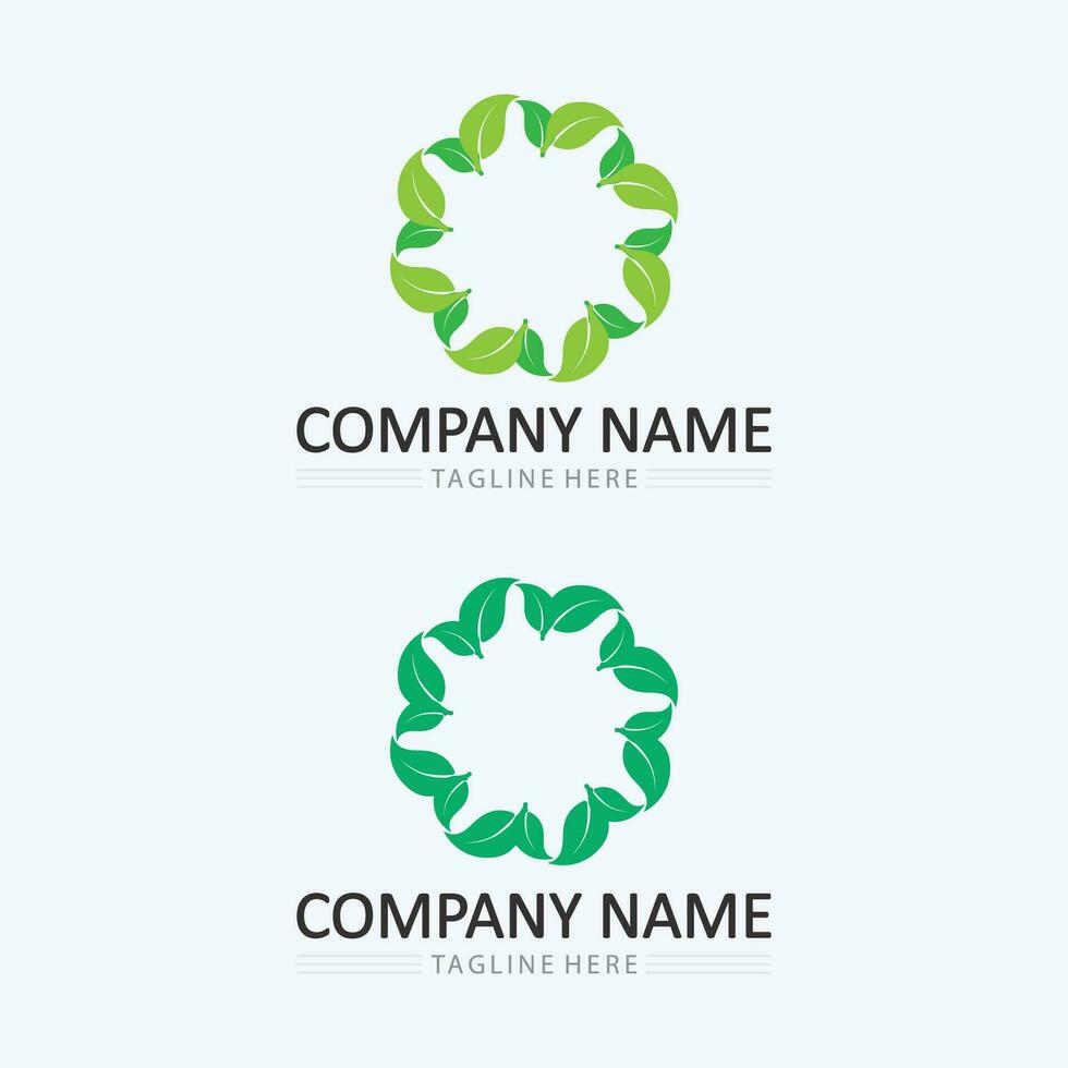 Logos of green Tree leaf ecology vector