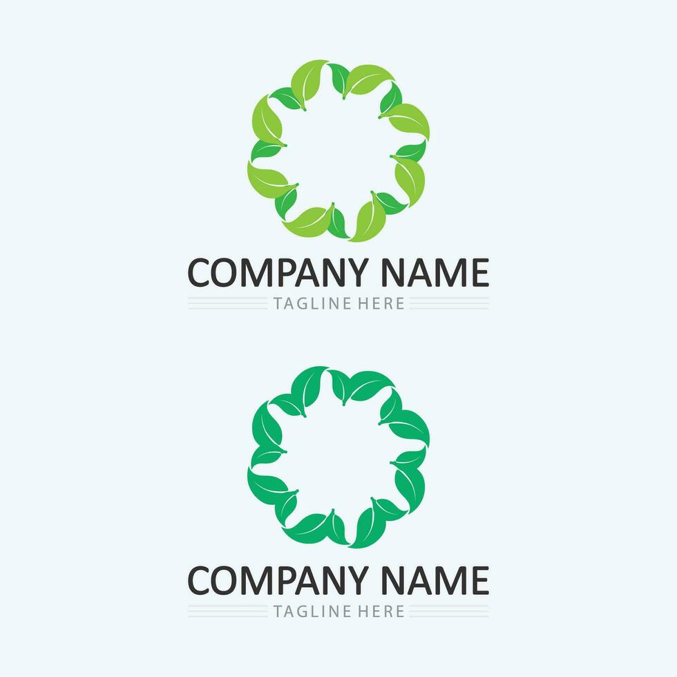 logotipos de la ecología de la hoja del árbol verde vector