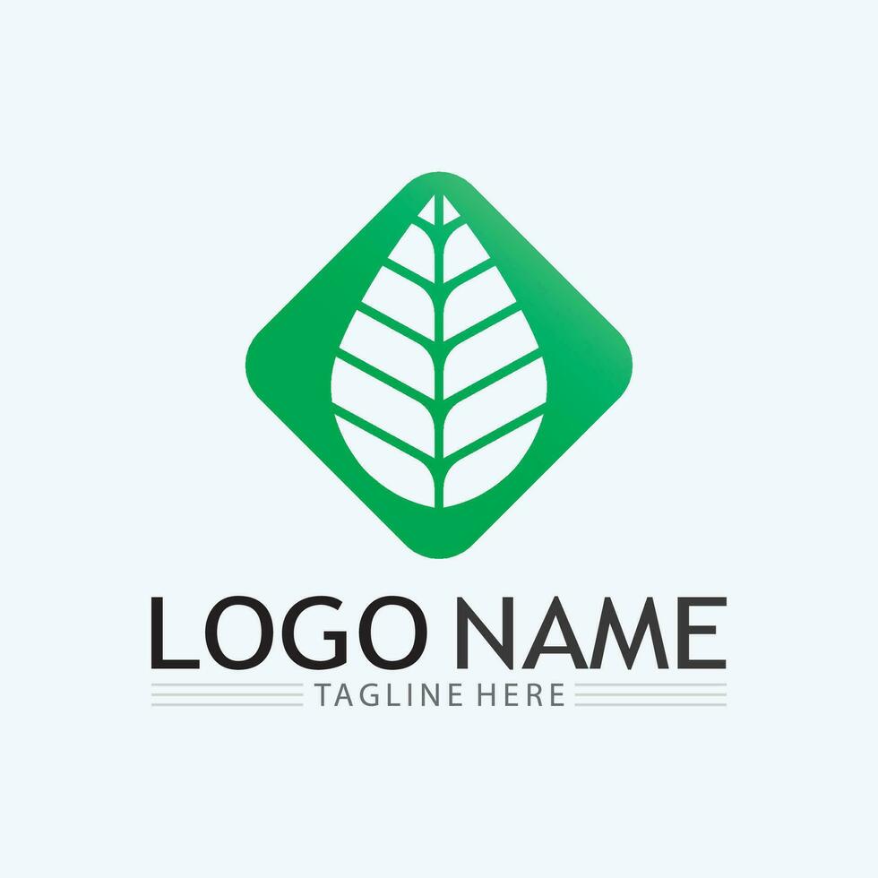 Logos of green Tree leaf ecology vector
