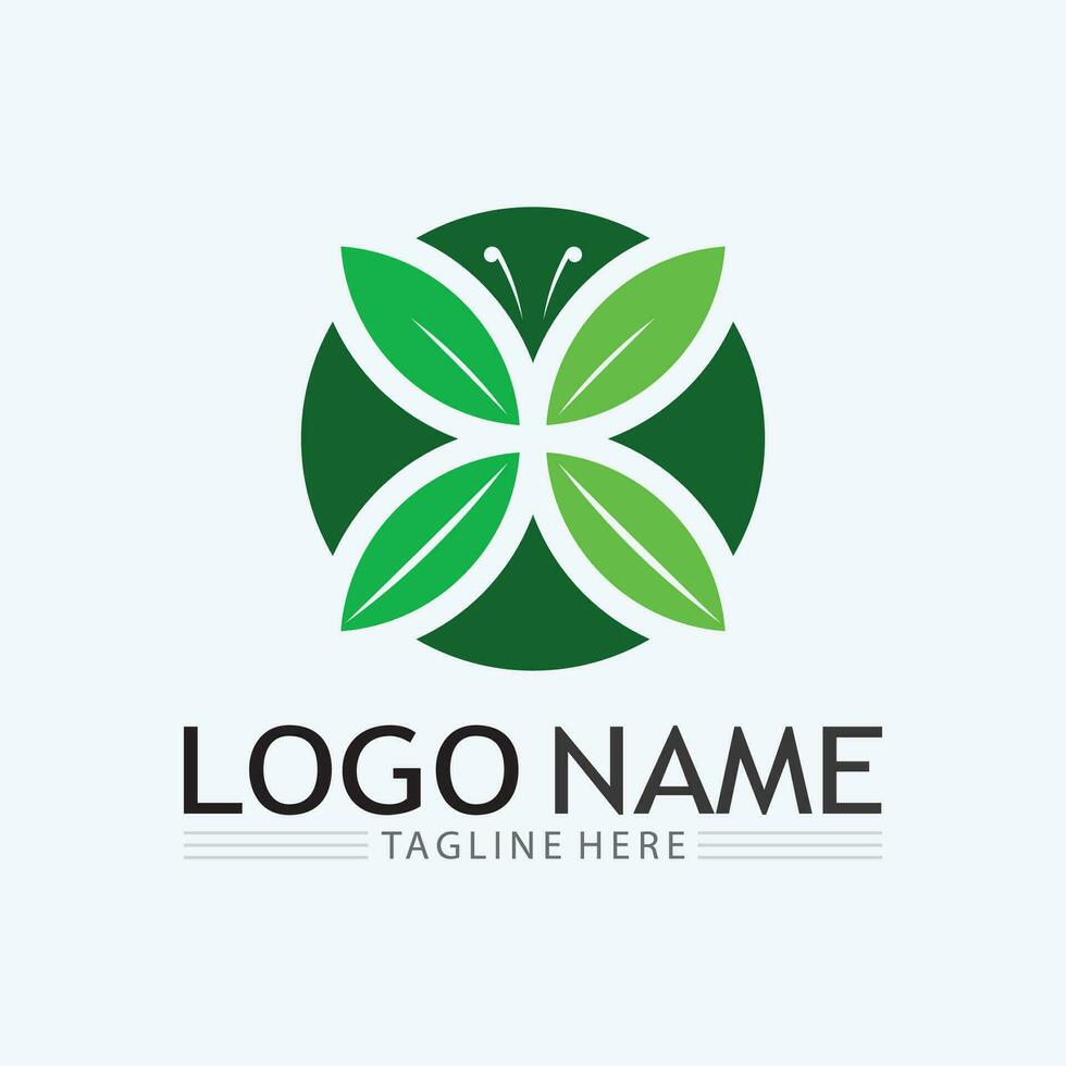 Logos of green Tree leaf ecology vector