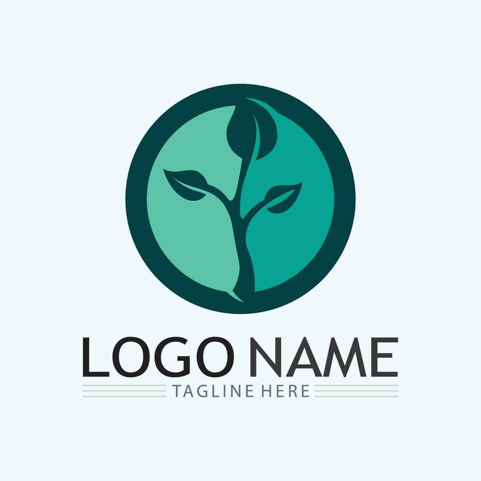 Logos of green Tree leaf ecology vector