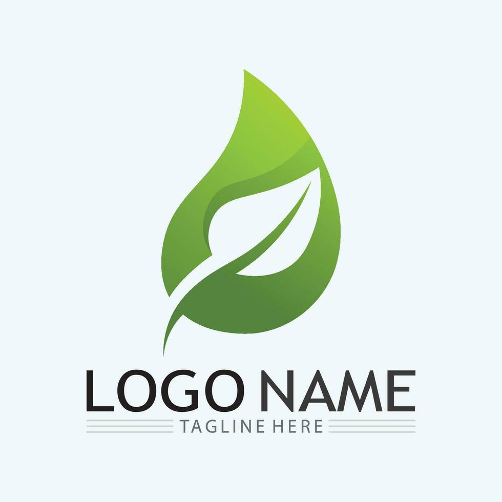 Eco Energy Vector Logo with leaf symbol. Green color with flash or thunder graphic. Nature and electricity renewable. This logo is suitable for technology, recycle, organic.