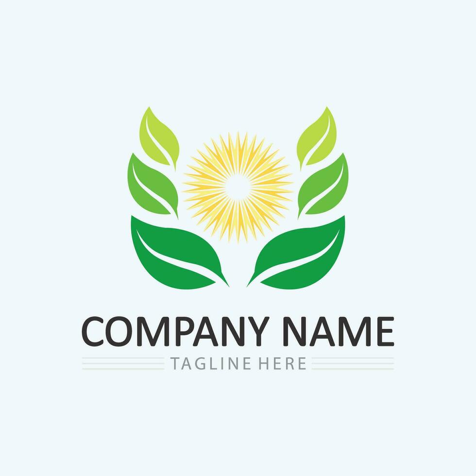Logos of green Tree leaf ecology vector