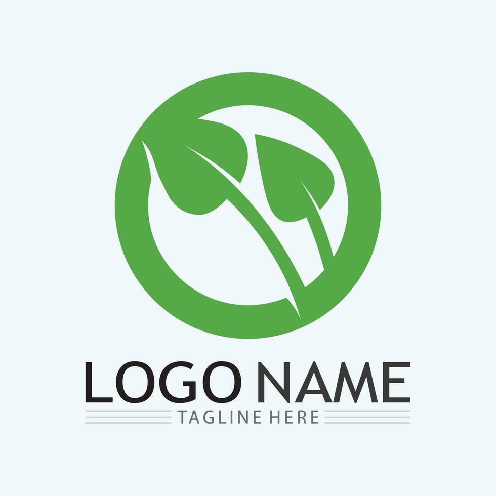 árbol logo icono vector ilustración design.vector silueta de un árbol plantillas de árbol logo y raíces árbol de la vida diseño ilustración