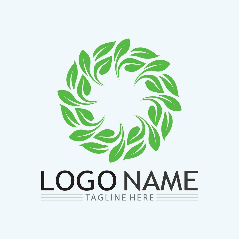 Tree logo icon vector illustration design.Vector silhouette of a tree templates of tree logo and roots  tree of life design illustration