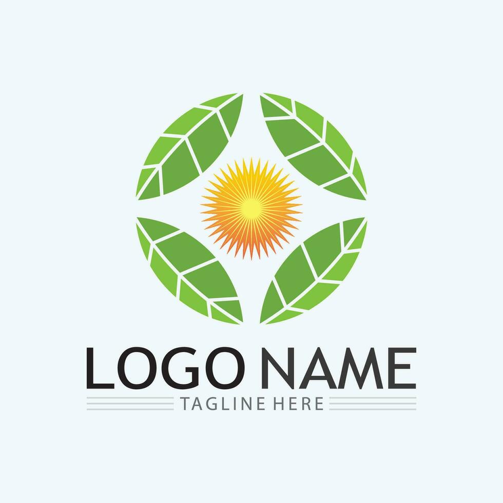 Logos of green Tree leaf ecology vector