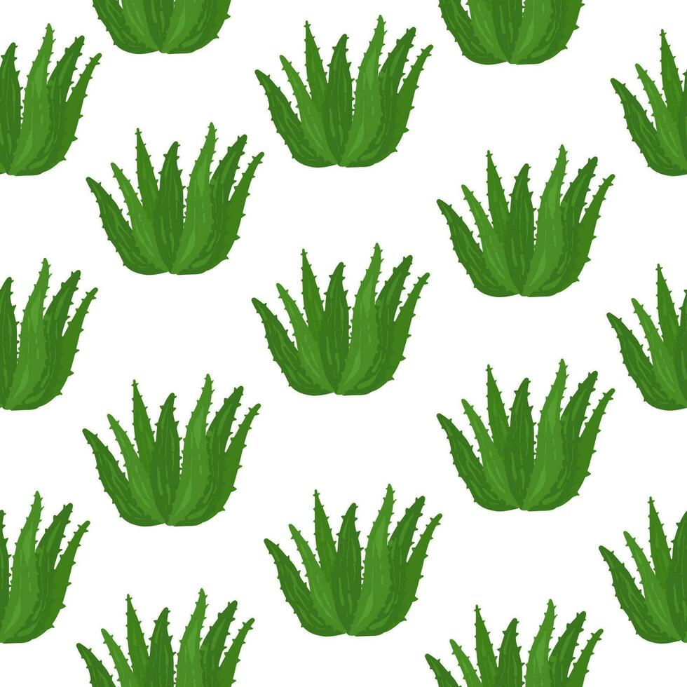 natural vector áloe vera ilustración con Aloe vera mano dibujado letras