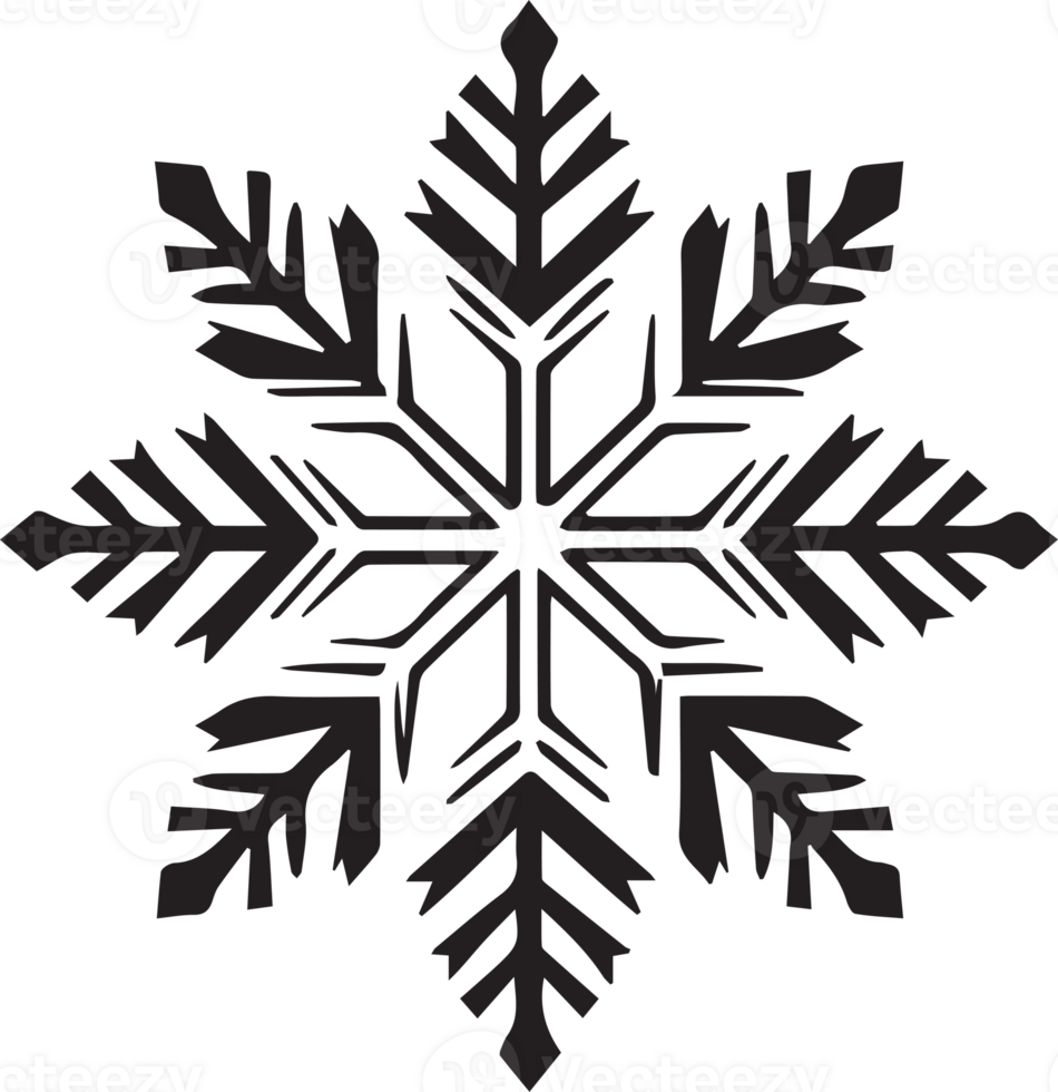 snowflake in flat style isolated on background png