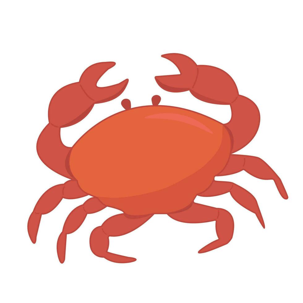 Crab, gourmet food. Vector cartoon flat style.