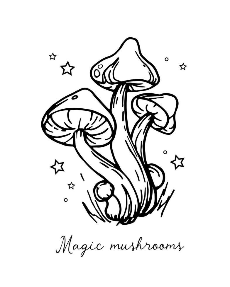 Graphic vintage mushrooms with stars. Botanical illustrations. Witch mushrooms for Halloween. Graphic vintage doodle illustration with space magic mushrooms. Idea for a tattoo. National mushroom day. vector