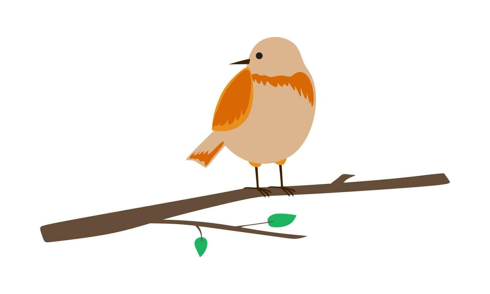 linda Robin pájaro en rama. vector ilustración. aislado en blanco antecedentes.
