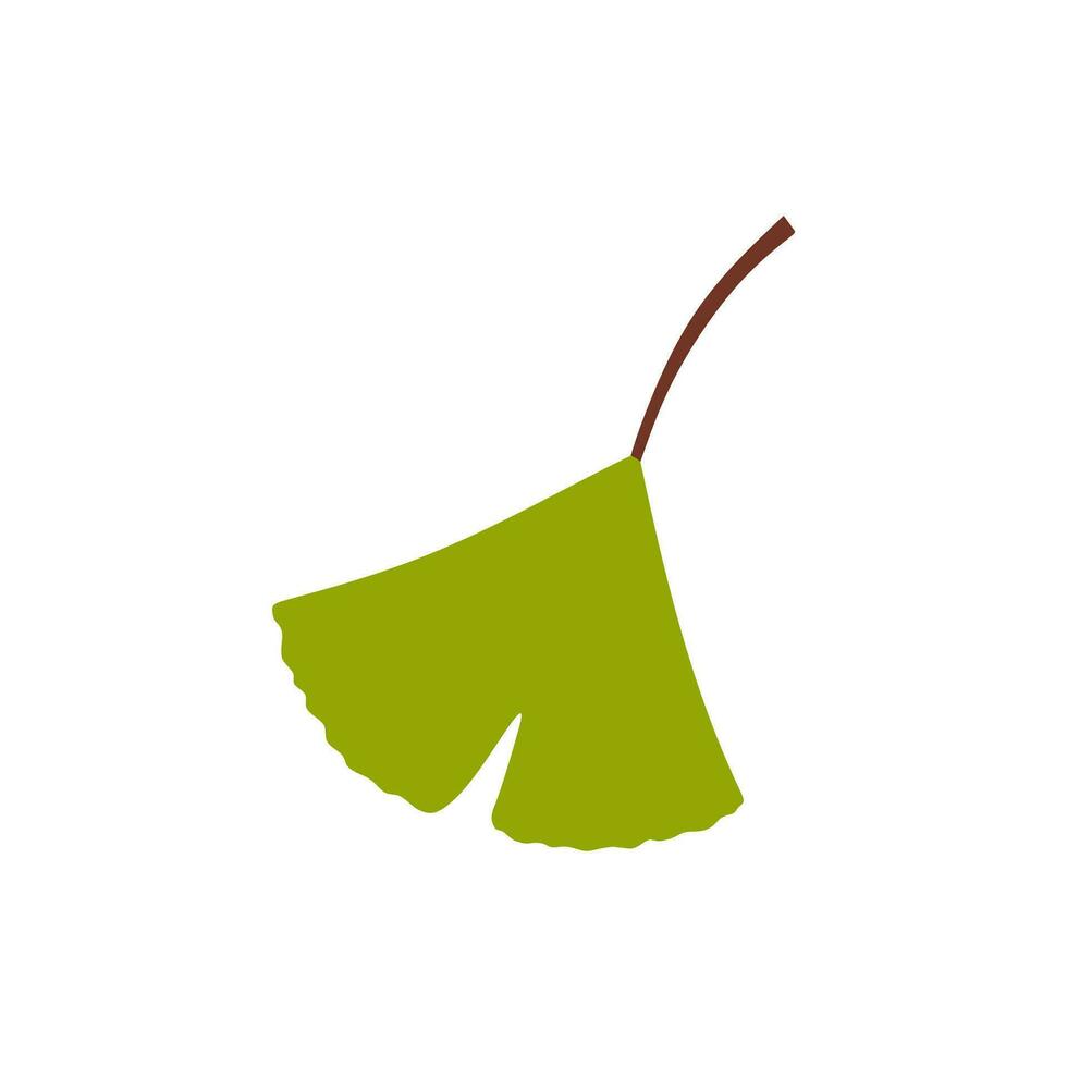 Cartoon flat green ginkgo biloba leaf isolated on white. Nature eco icon. Vector illustration. Leaflet organic icon